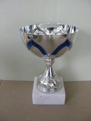 BS Metal Cup