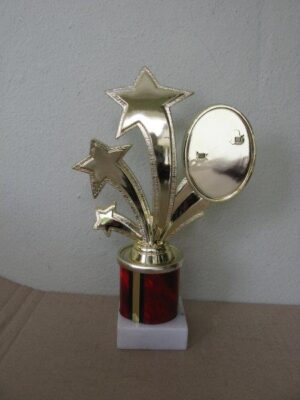 C-STAR OVAL on marble base 19CM