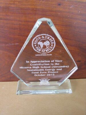 Diamond Glass 24 - 19cm